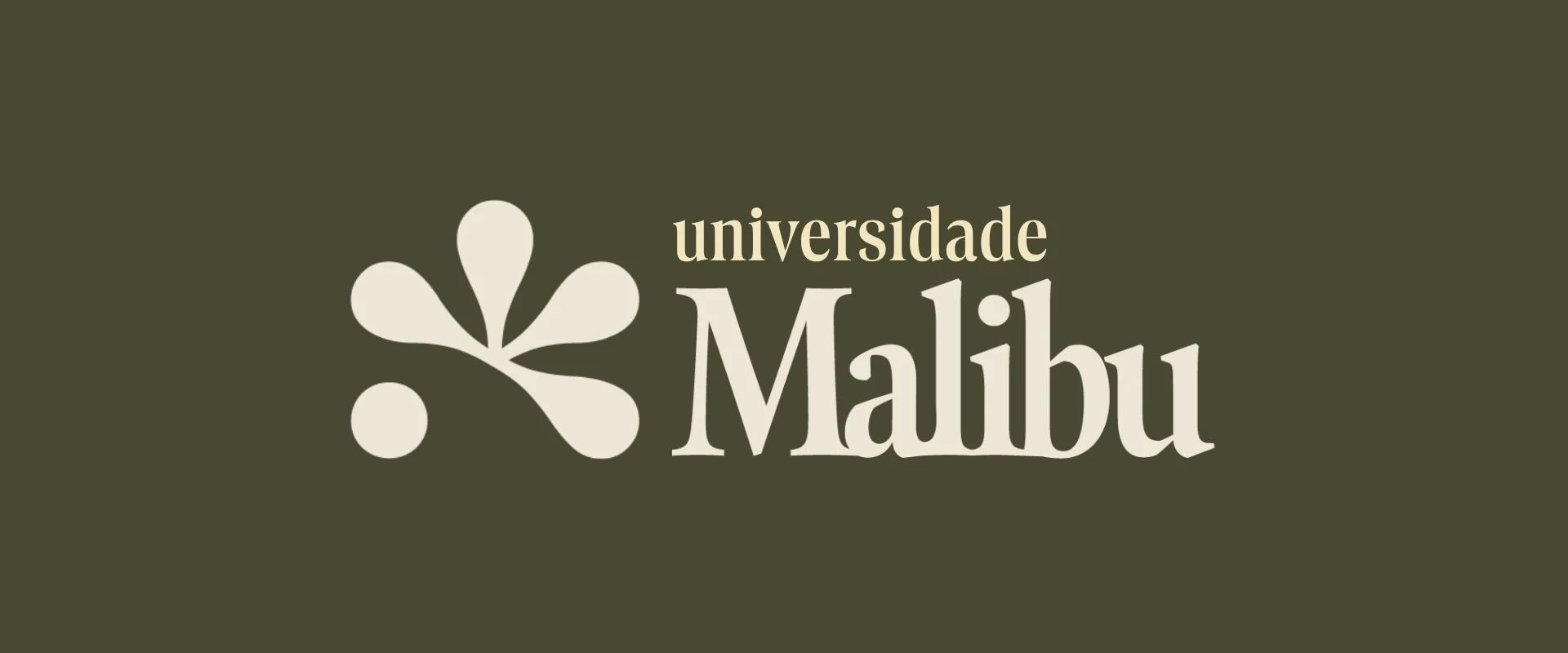 Universidade Malibu